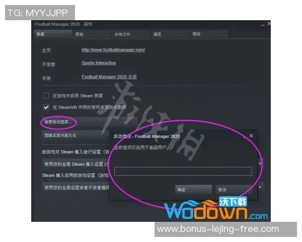 足球经理存档位置详解及如何快速找到你的游戏存档文件